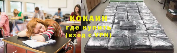 шишки Пересвет