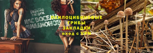 альфа пвп Армянск