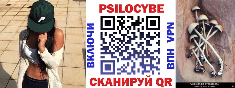 что такое наркотик Белогорск Галлюциногенные грибы мицелий